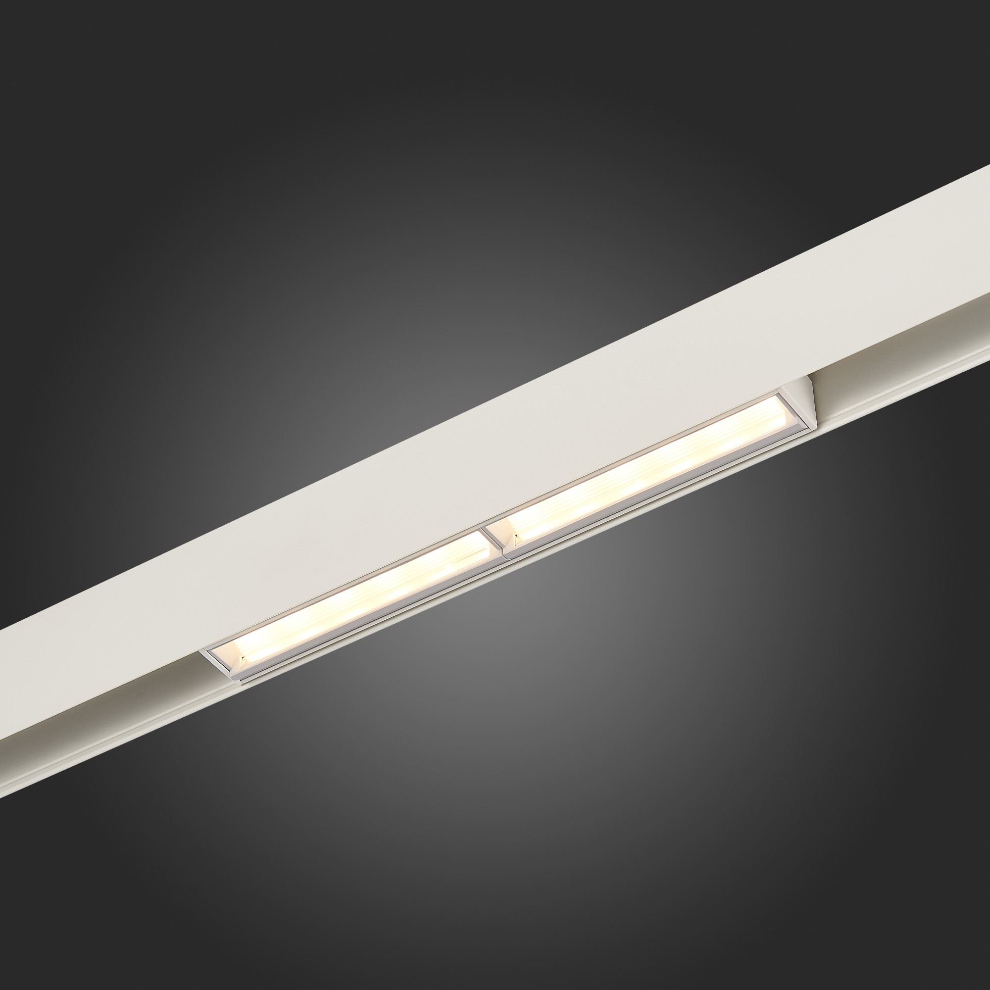 ST804.546.12 Магнитный трековый светильник Белый LED 1*12W 4000K 800Lm Ra>90 120° IP20 L220xW22xH46 SKYLINE 48