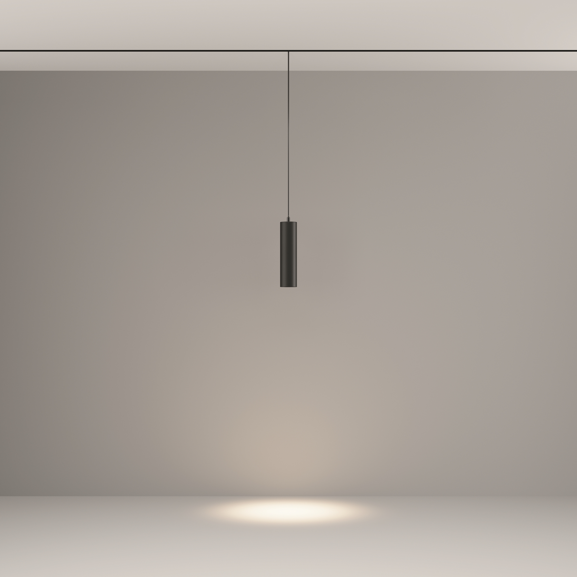 Трековый подвесной светильник Technical TR041-2-12W4K-B