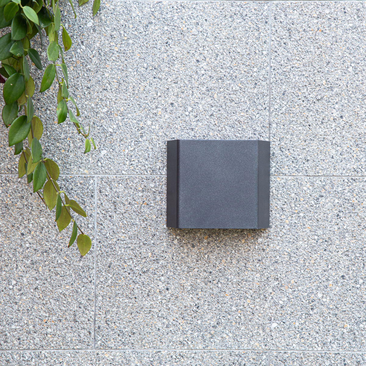 Настенный фонарь Natural Concepts, Арт. NC-023504-SB