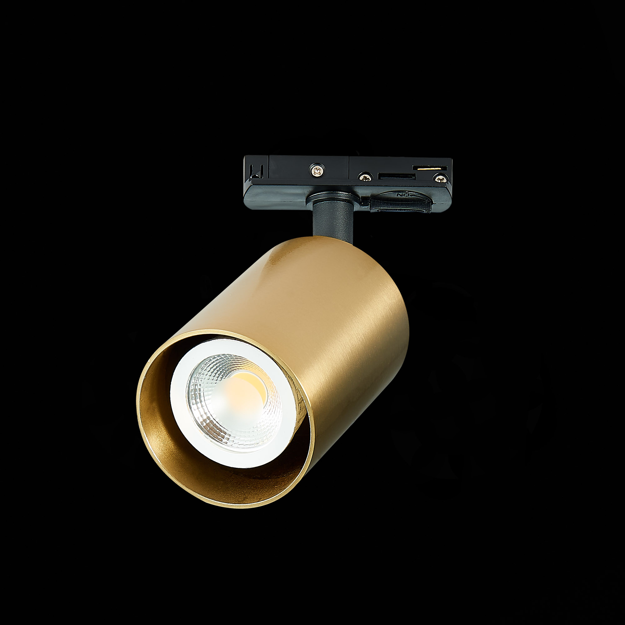 ST302.206.01 Св-к трек. Золотистый GU10 1*50W  IP20 L100xW70xH172 220V Без ламп BASE