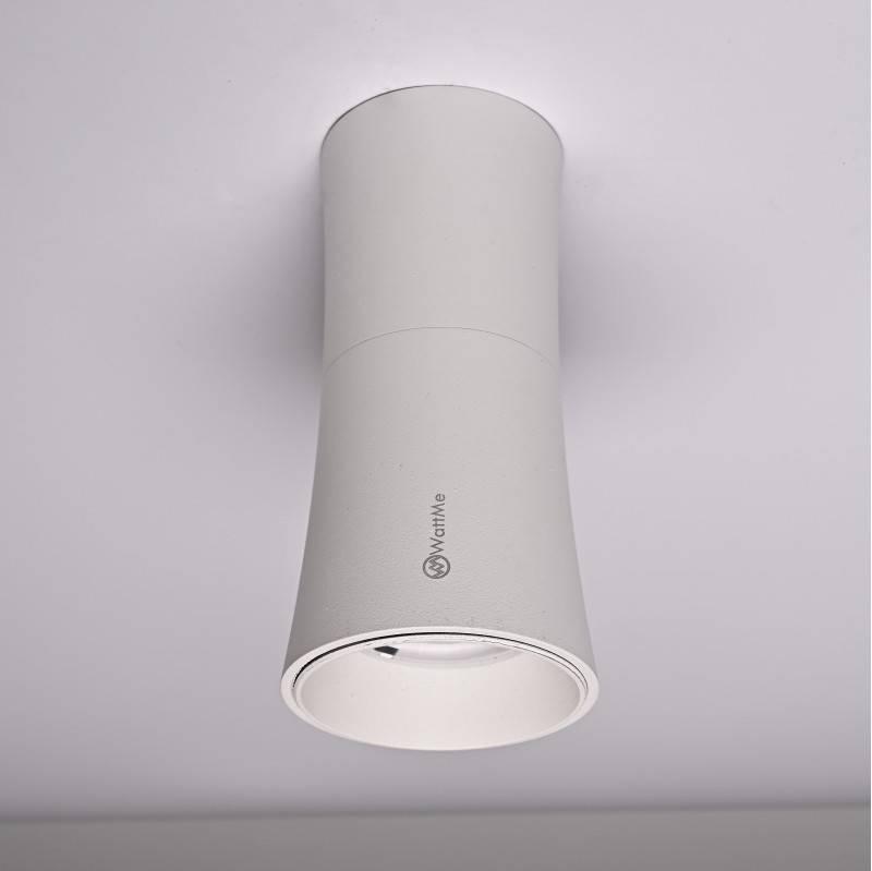 Накладной светильник ImperiumLoft 314096-26