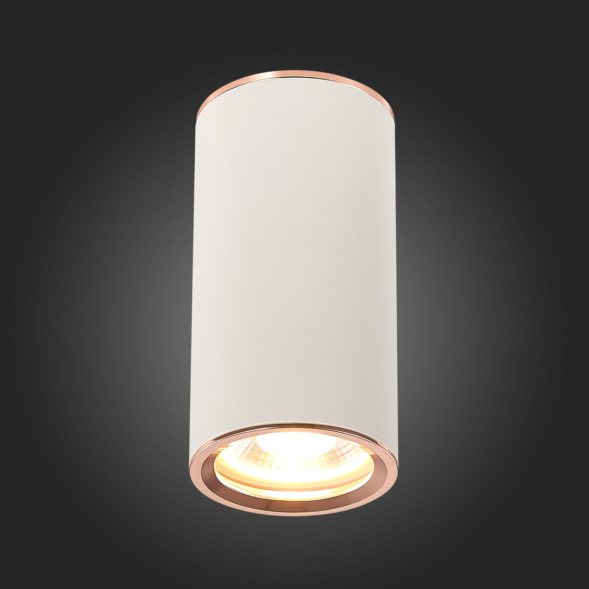 ST111.527.01 Светильник потолочный Белый GU10 1*50W D54xH105 220V Без ламп Накладные светильники