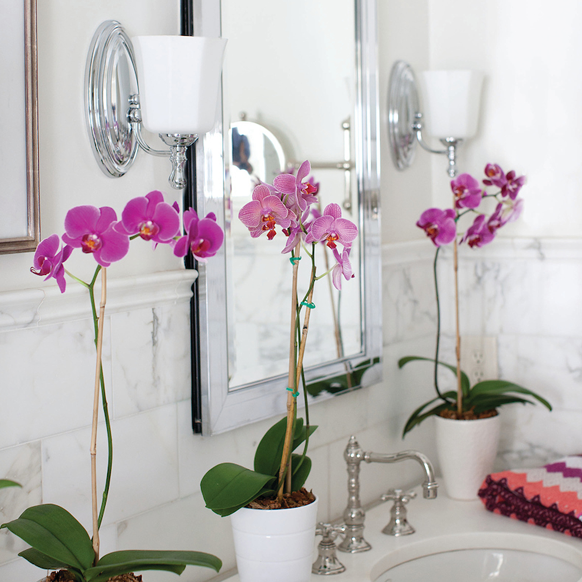 Бра для ванных комнат HK-SHELLY1-BATH Hinkley, арт. HK-SHELLY1-BATH