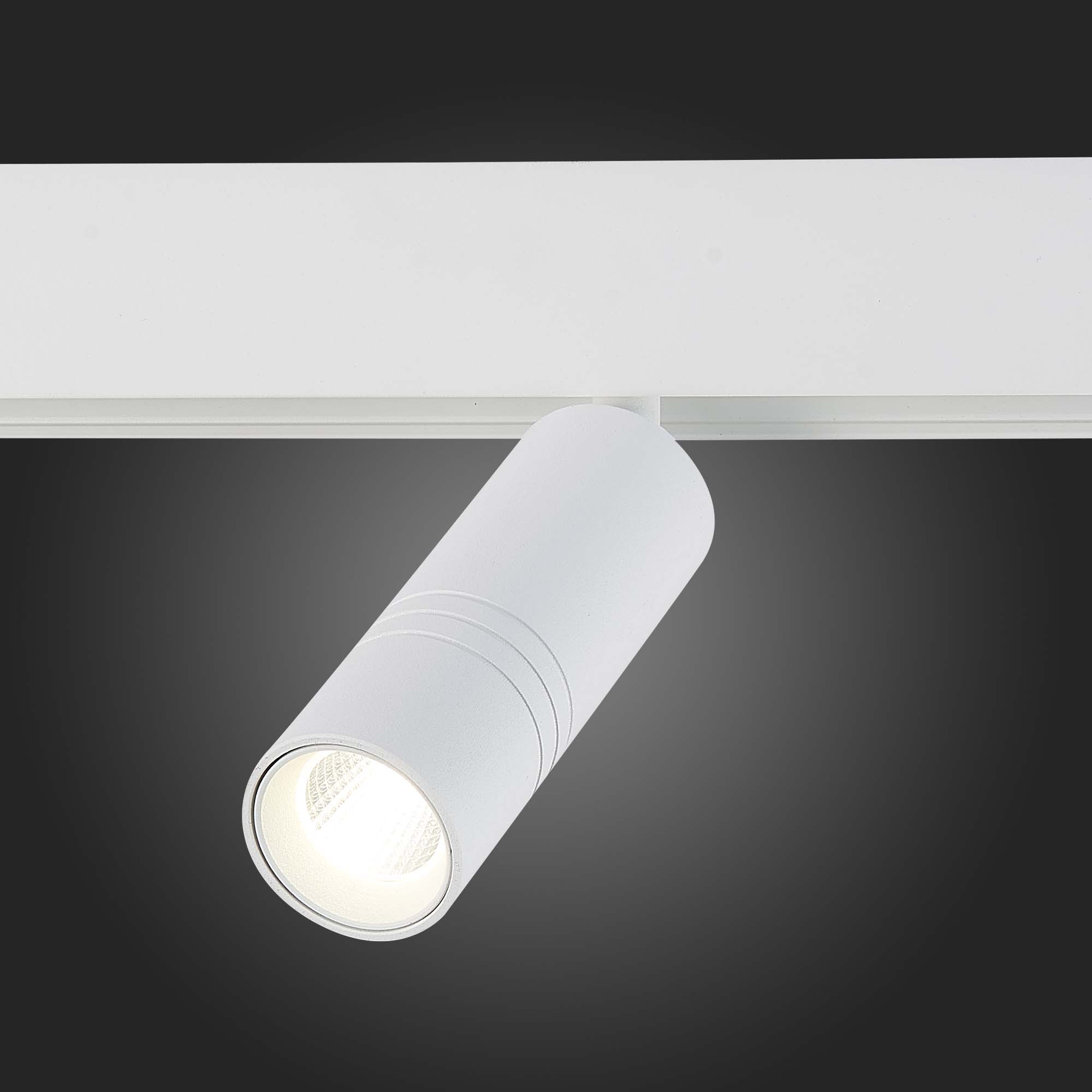 ST365.546.12 Магнитный трековый светильник белый LED 1*12W 4000K 1 020Lm Ra>80 36° IP20 L-xW44xH130 SKYLINE 48