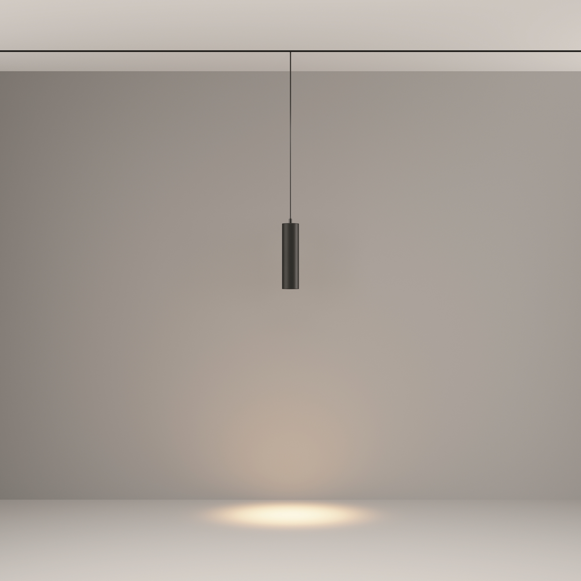 Трековый подвесной светильник Technical TR041-2-12W3K-B