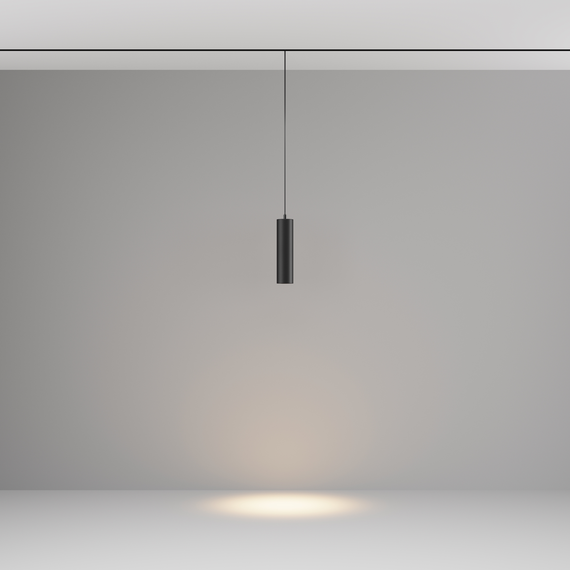 Трековый подвесной светильник Technical TR041-2-12W3K-B