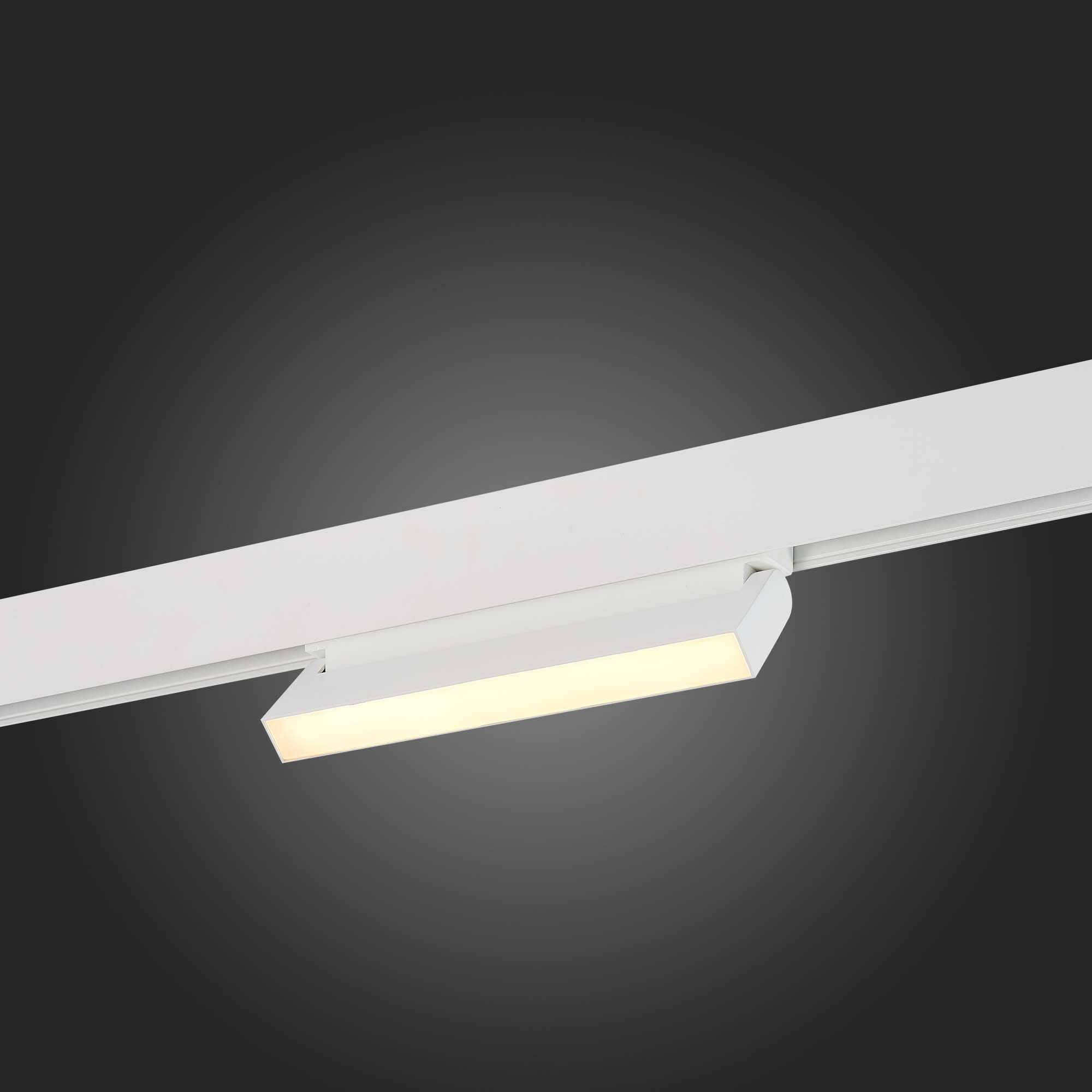 ST363.536.12 Магнитный трековый светильник Белый LED 1*12W 3000K 720Lm Ra>80 120 IP20 L219xW22xH108 SKYLINE 48