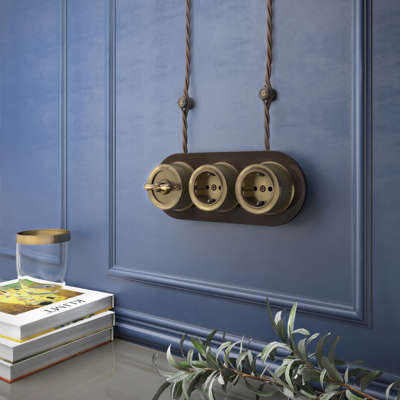 Розетка Werkel WL19-10-01 (Бронзовый)