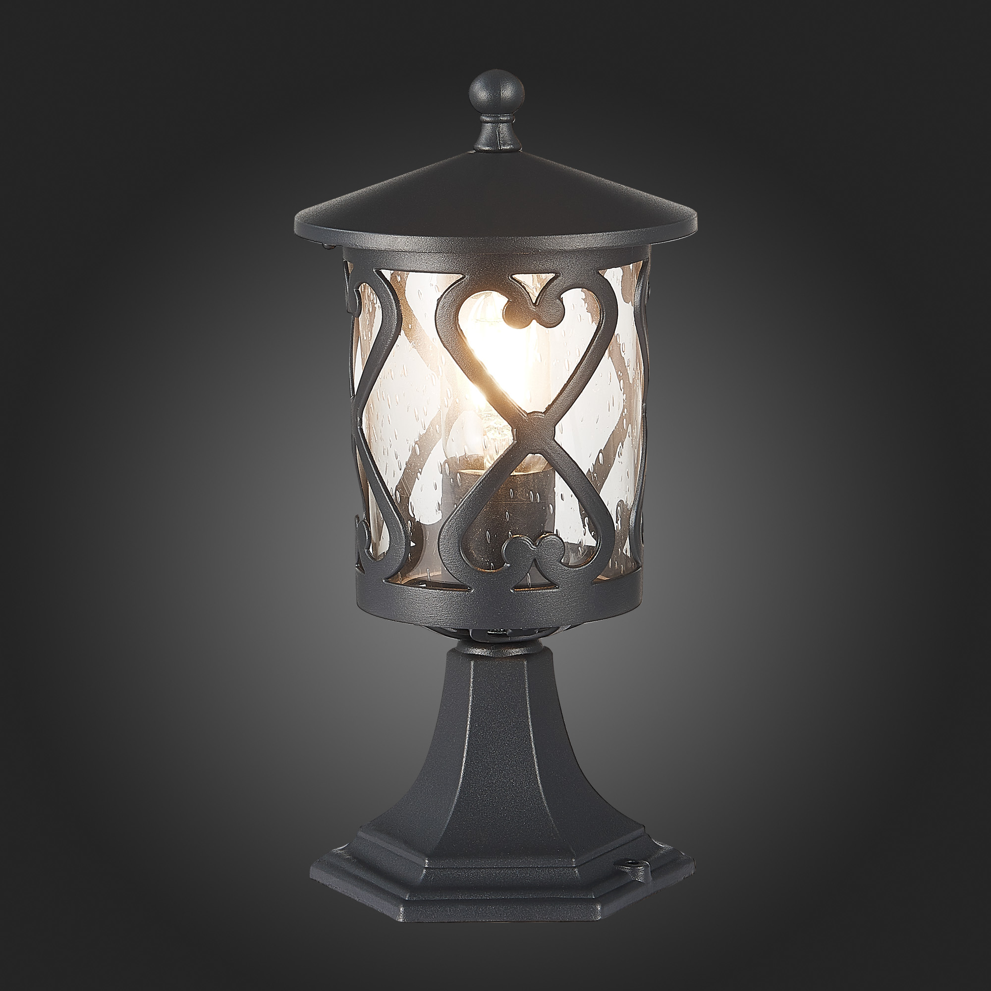 SL085.405.01 Светильник уличный наземный ST-Luce Черный/Черный, Прозрачный E27 1*60W LORNE