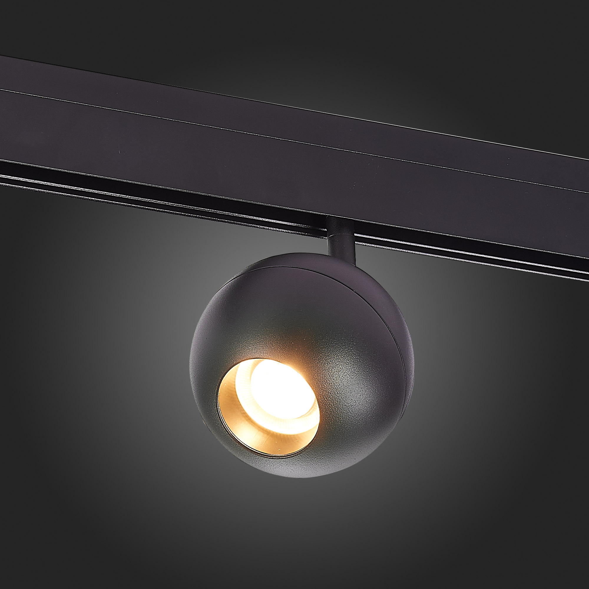 ST354.436.12 Магнитный трековый светильник Черный LED 1*12W 3000K 680Lm Ra>80 36° IP20 L120xW100xH19 SKYLINE 48