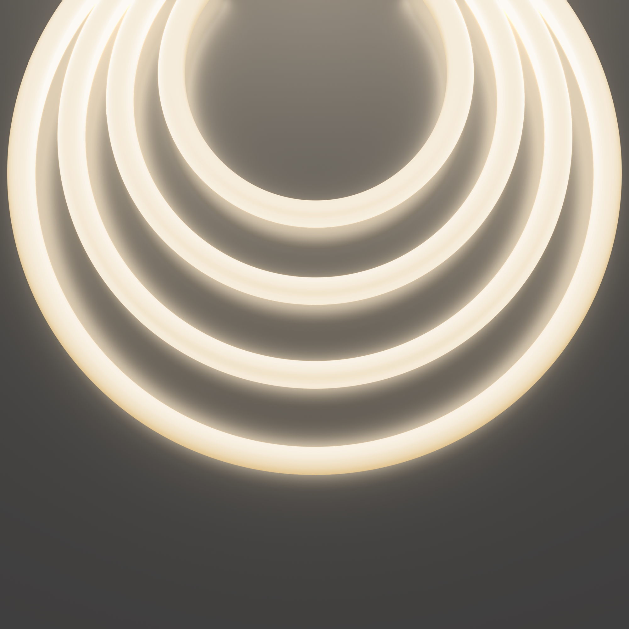 Гибкий неон Led Strip 20302