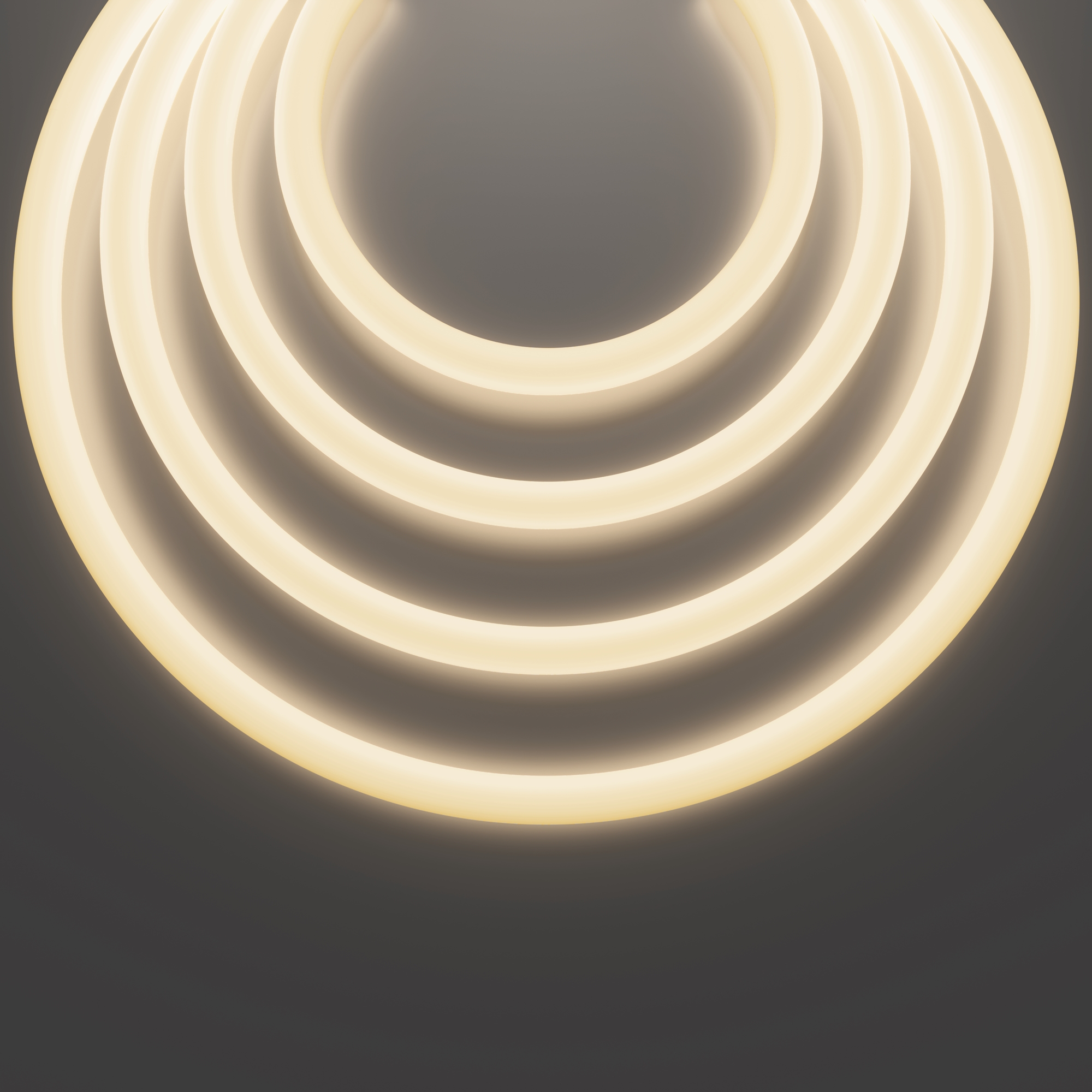 Гибкий неон Led Strip 433001