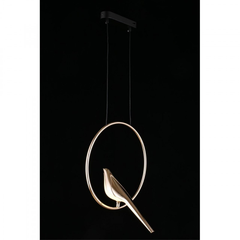 Потолочный детский светильник APLOYT APL.822.06.10