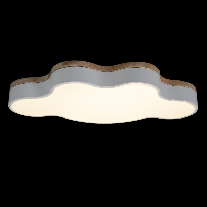 Потолочный детский светильник LOFT IT 10005/36 White