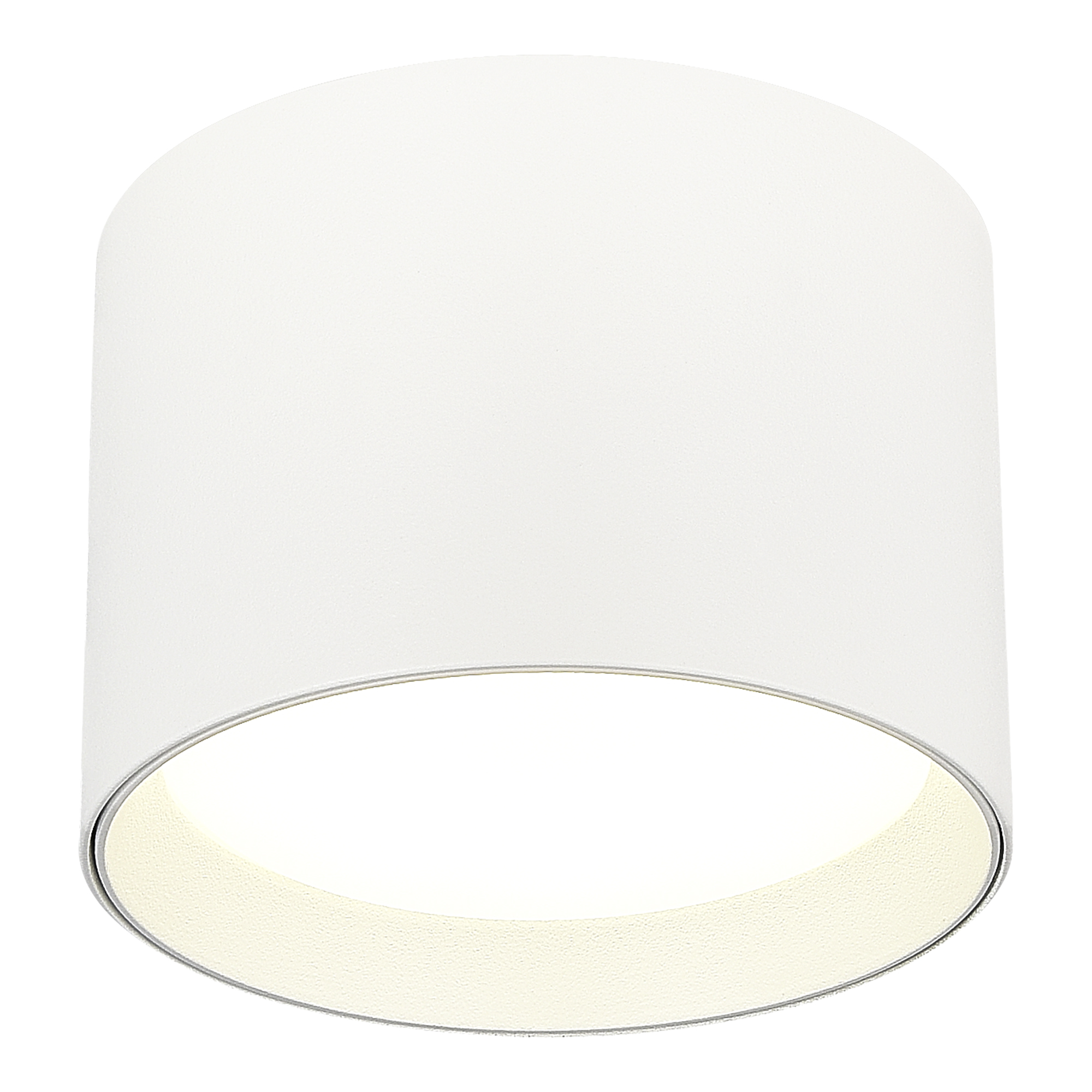 ST163.502.01.02 Светильник потолочный Белый GX53 1*50W IP20 D85xH60 220V Без ламп Накладные светильники