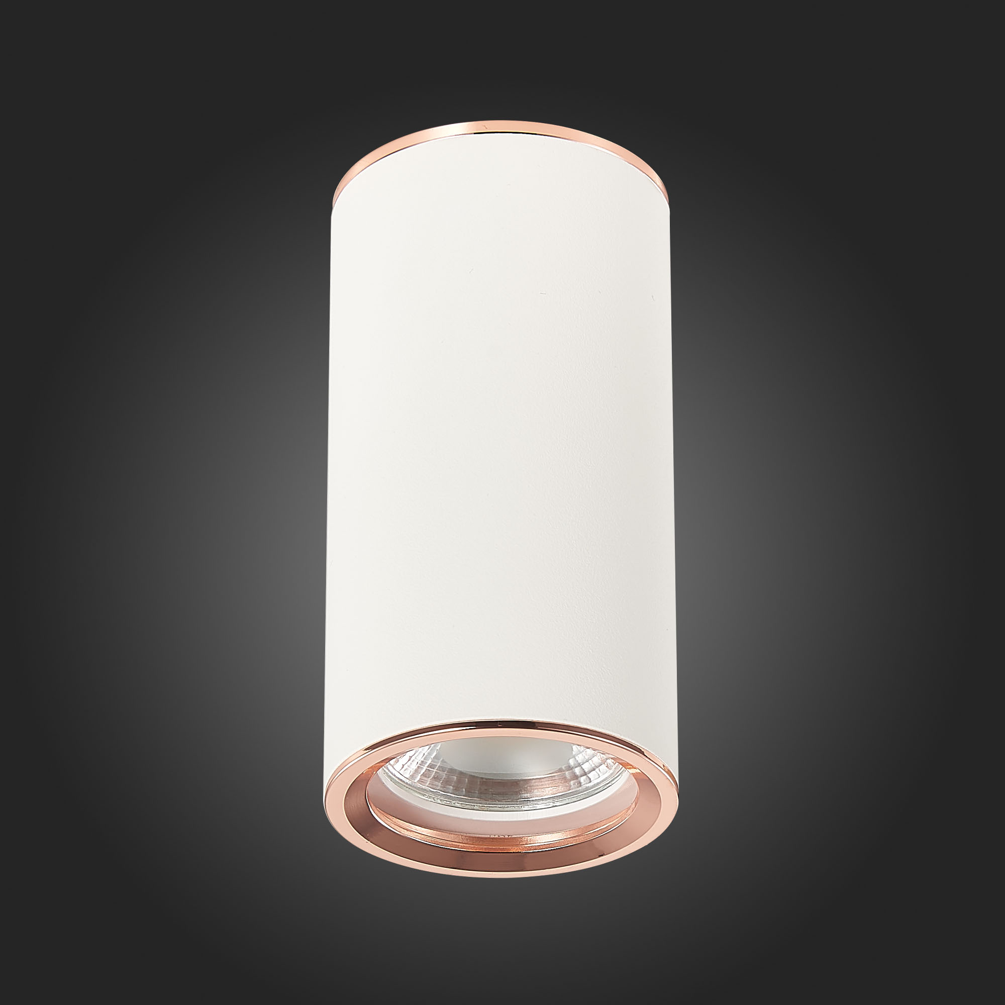 ST111.527.01 Светильник потолочный Белый GU10 1*50W D54xH105 220V Без ламп Накладные светильники