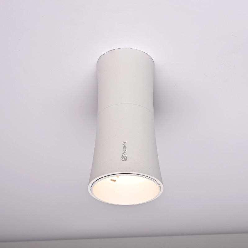 Накладной светильник ImperiumLoft 314096-26