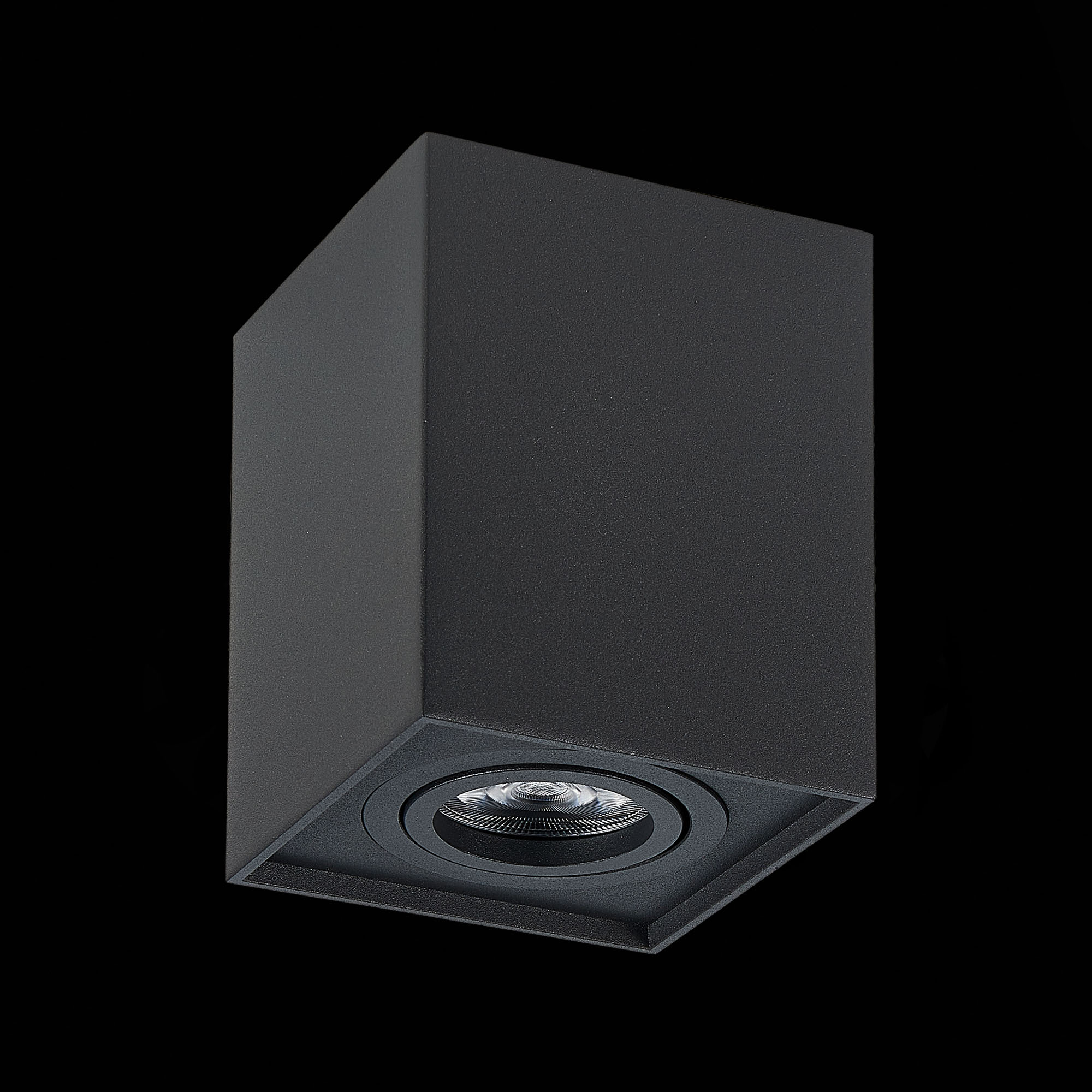 ST109.407.01 Светильник потолочный Черный GU10 1*50W  L100xW100xH123 220V Без ламп Накладные светильники