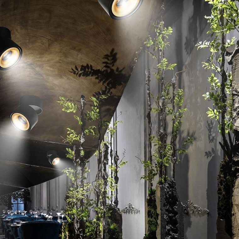 Накладной светильник ImperiumLoft 191830-26