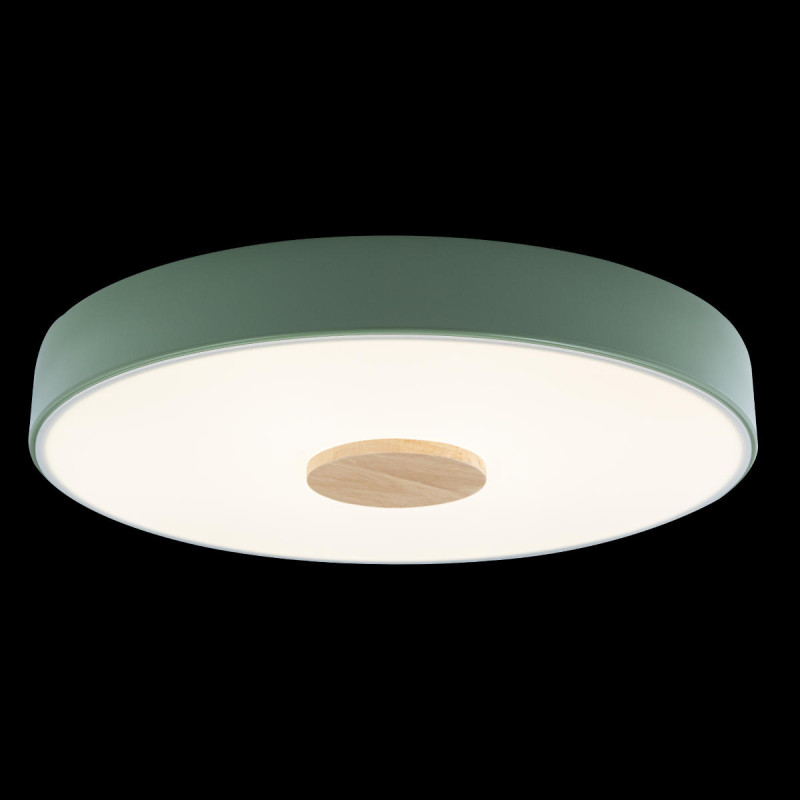 Потолочный детский светильник LOFT IT 10003/24 Green