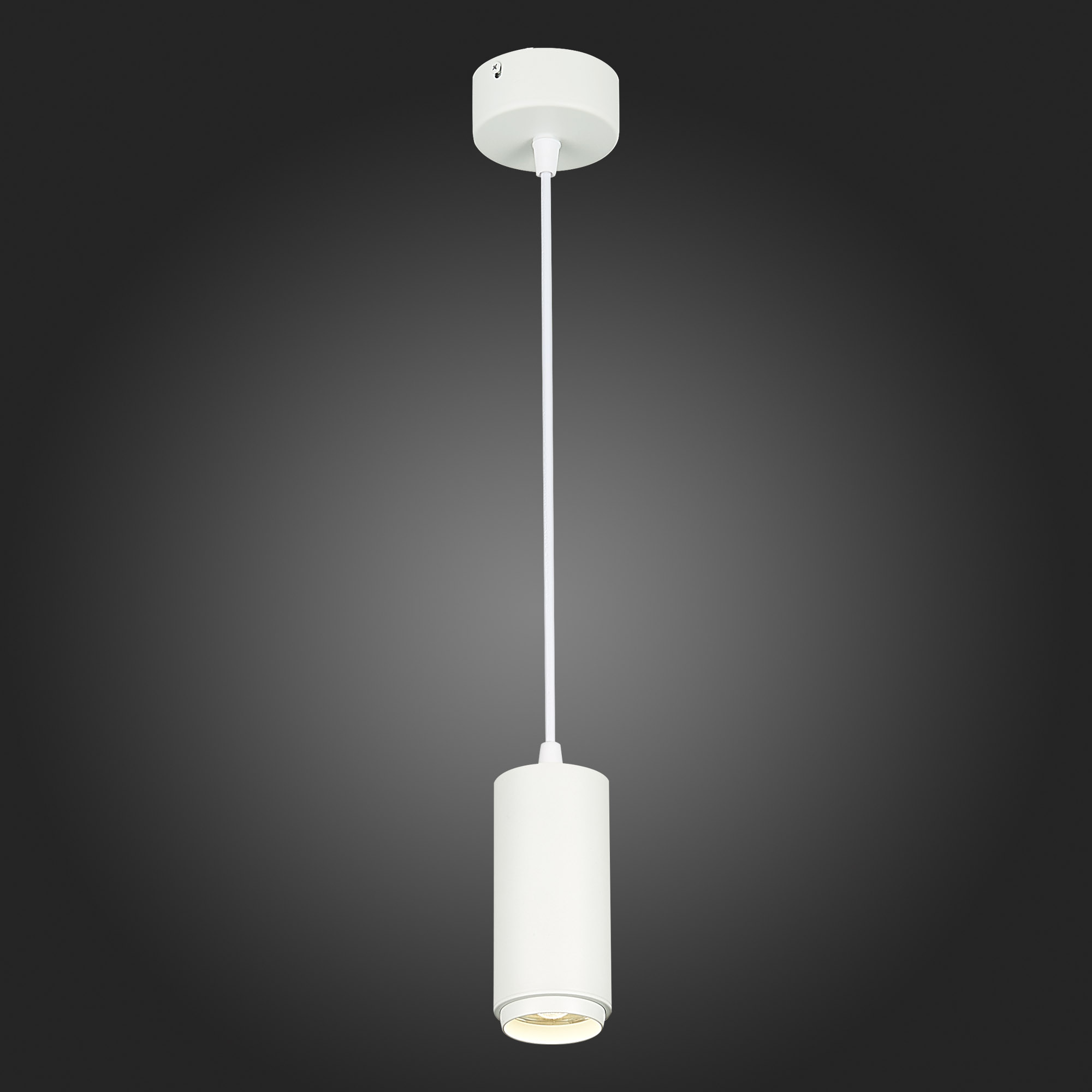 ST600.543.10 Светильник подвесной Zoom Белый LED 1*10W 4000K 1 000Lm Ra>80 15-60° IP20 D59xH130 170- Подвесные светильники