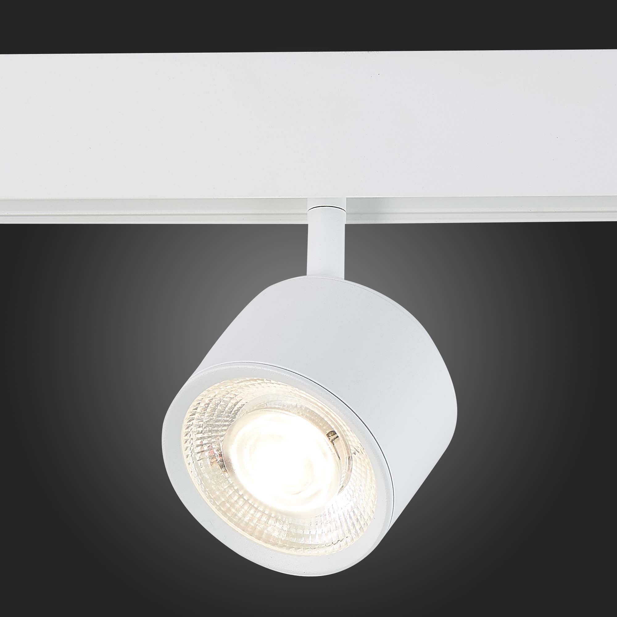 ST353.546.06 Магнитный трековый светильник белый LED 1*6W 4000K 560Lm Ra>80 36° IP20 L120xW81xH138 4 SKYLINE 48