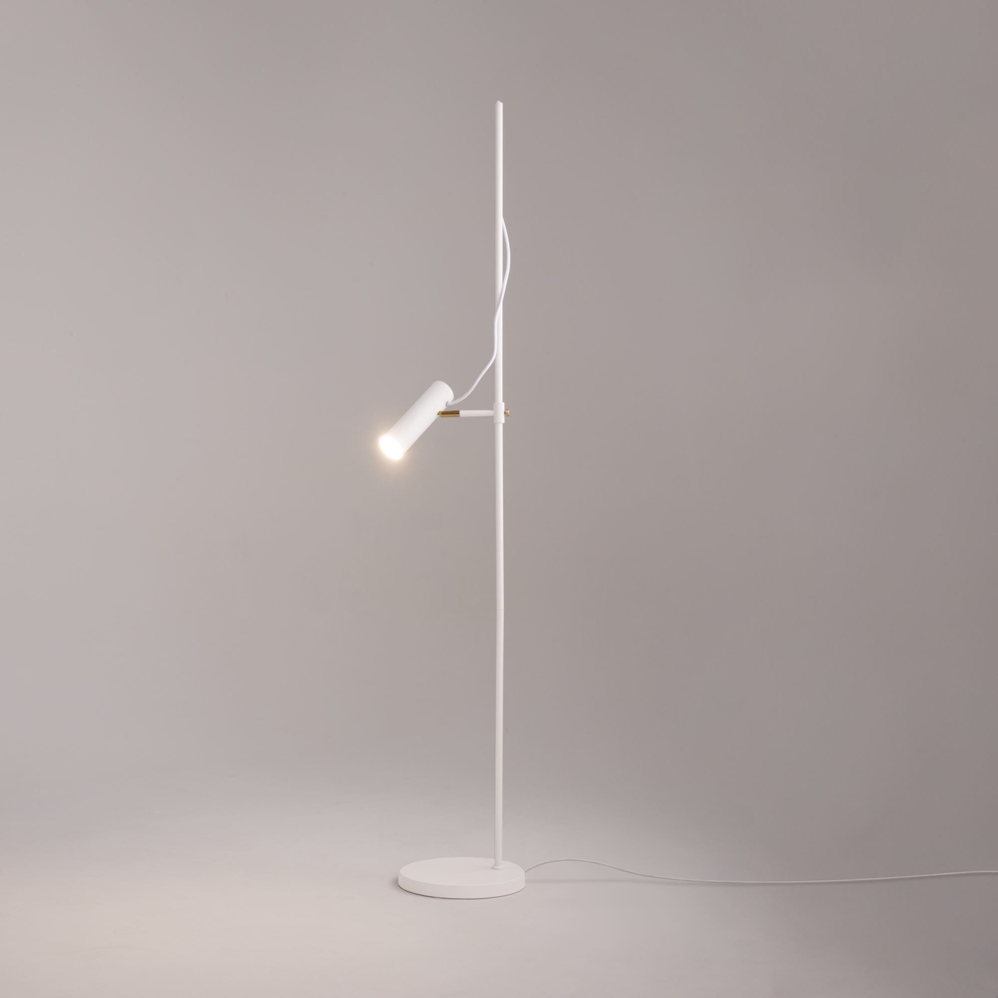 Напольный светильник (торшер) Maytoni MOD129FL-01W