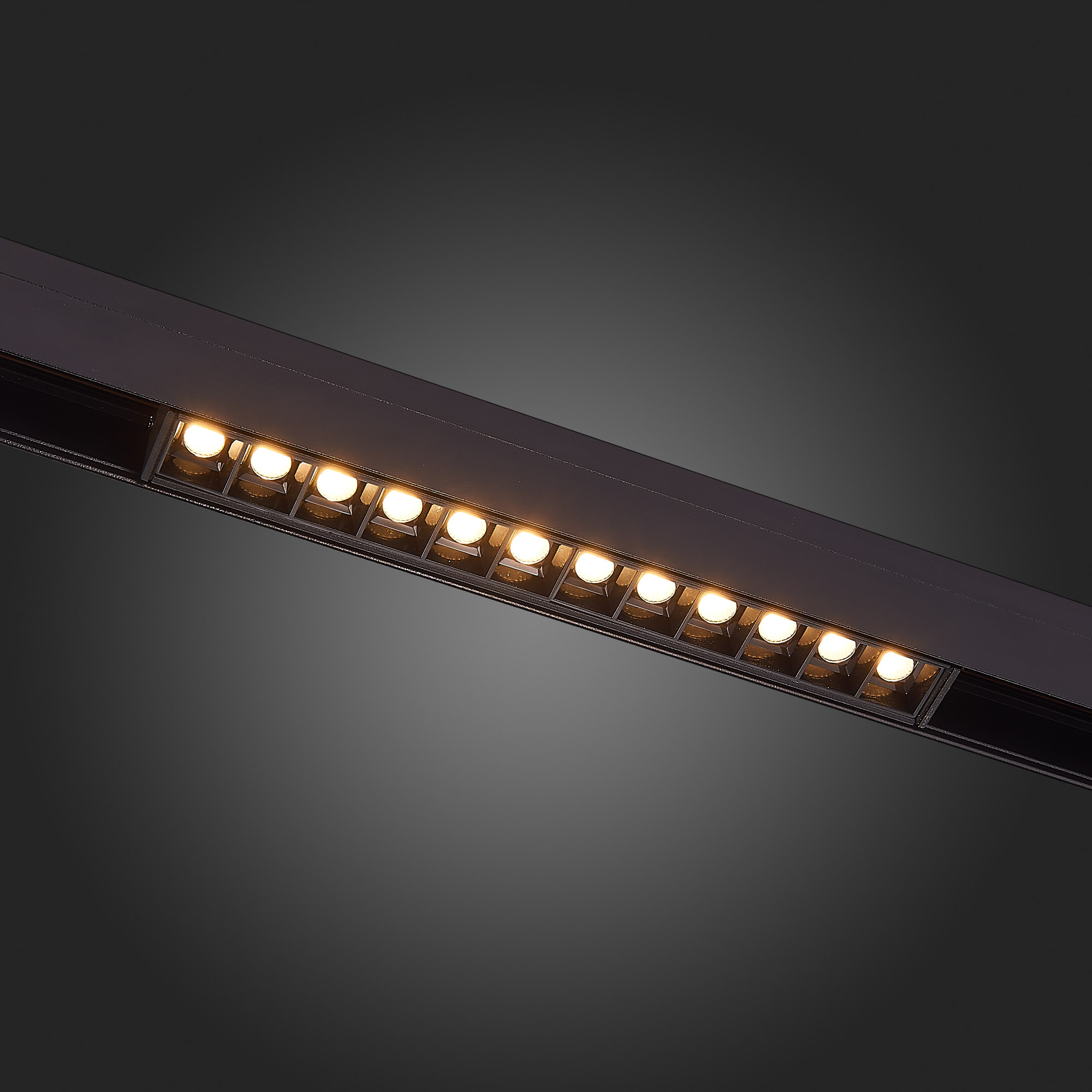 ST361.446.12 Магнитный трековый светильник Черный LED 1*12W 4000K 1 009Lm Ra>90 36° IP20 L222xW22xH4 SKYLINE 48