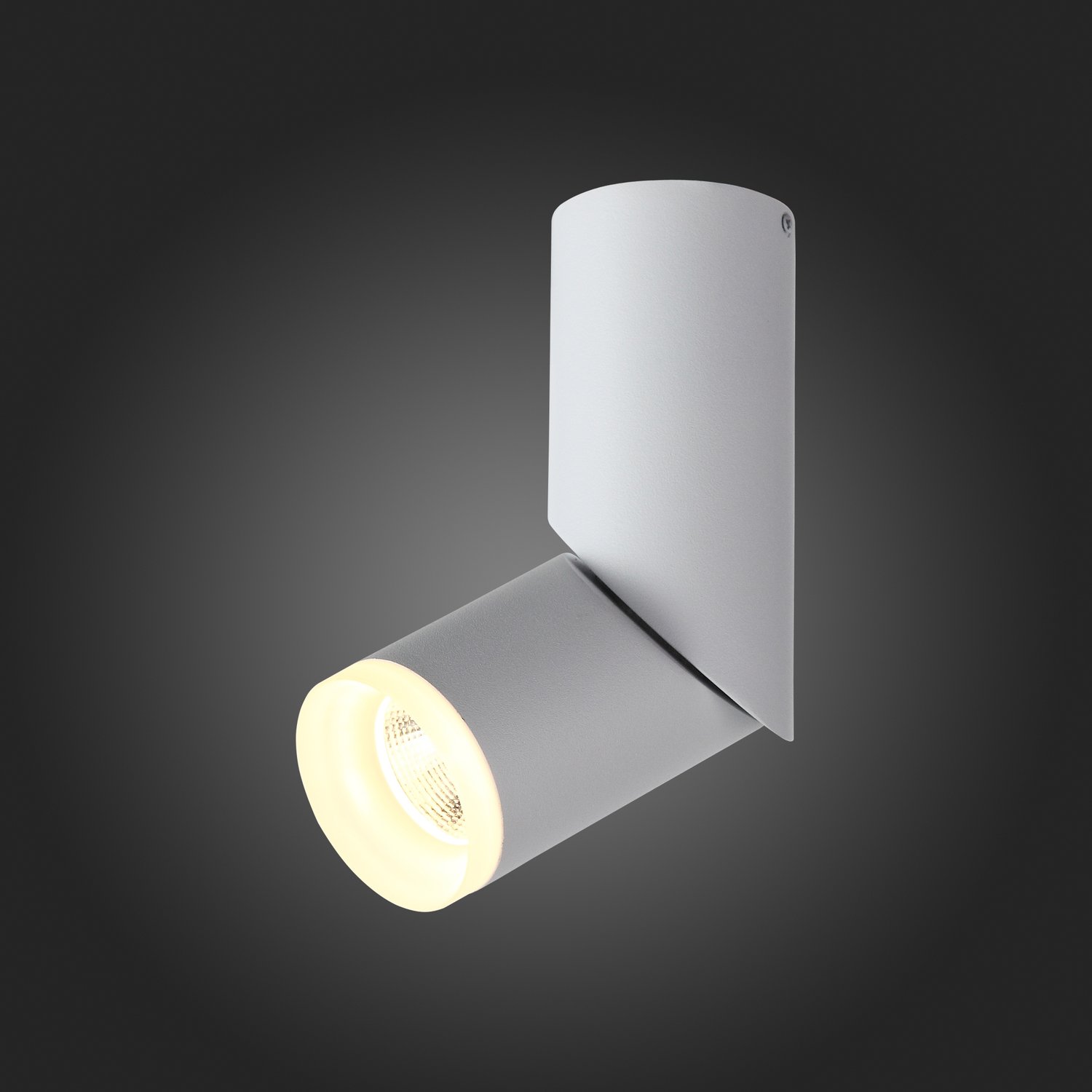 ST107.502.10 Светильник потолочный Белый LED 1*10W 3000K 780Lm Ra>80  D50xH168 170-240V Накладные светильники
