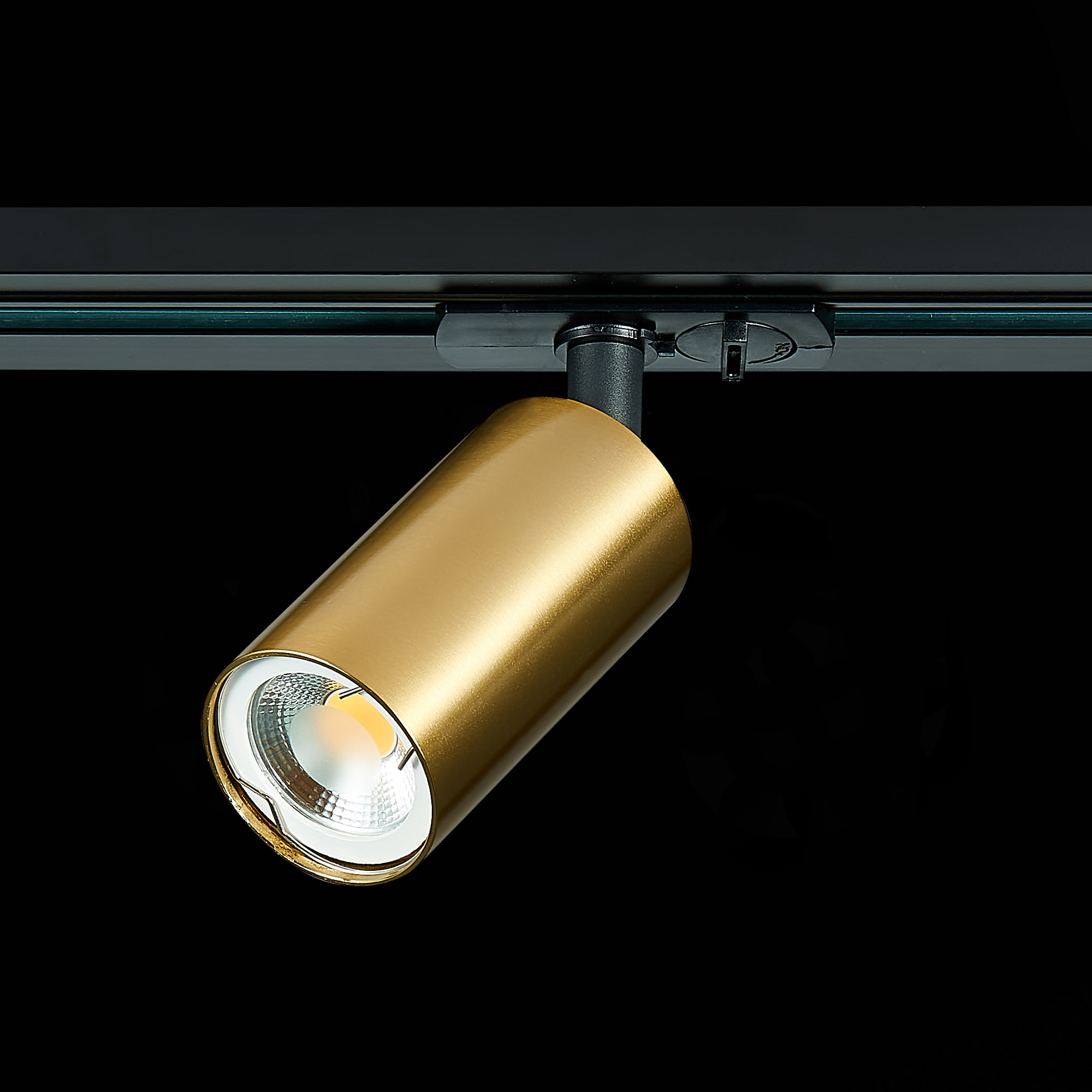 ST300.206.01 Св-к трек. Золотистый GU10 1*50W  IP20 L100xW54xH142 220V Без ламп BASE