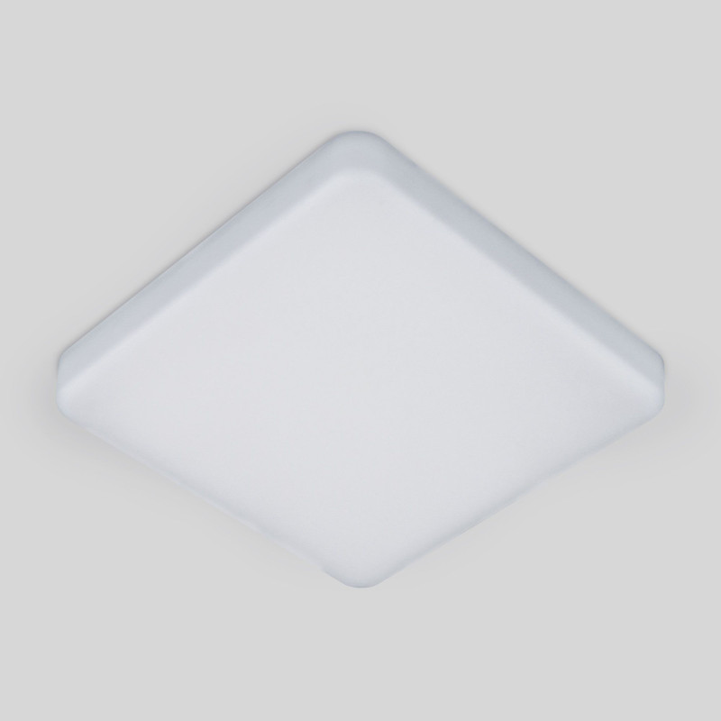 Накладной светильник Elektrostandard DLS043 10W 4200K