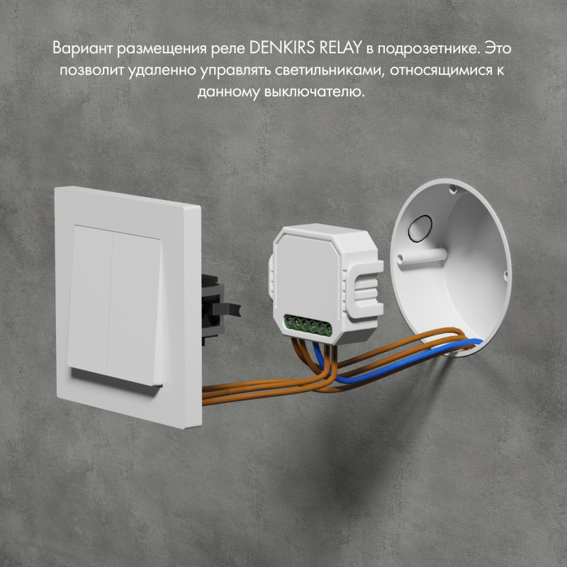 Wi-Fi реле Denkirs RL1002-SM/1