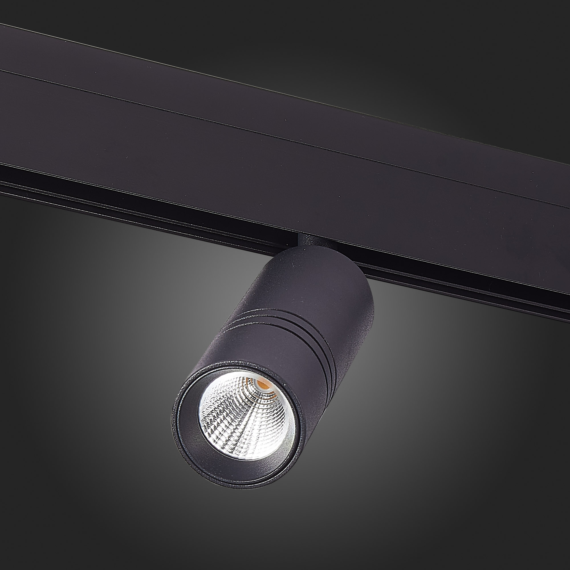 ST365.446.12 Магнитный трековый светильник Черный LED 1*12W 4000K 1 020Lm Ra>90 36° IP20 D44xH130 48 SKYLINE 48