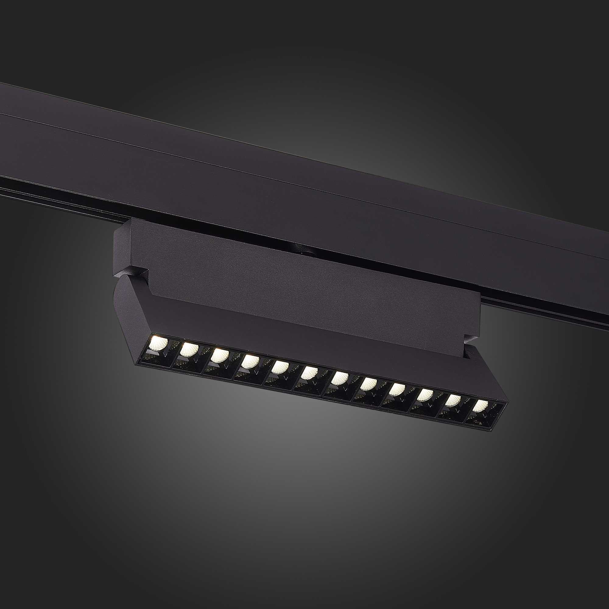 ST362.446.12 Магнитный трековый светильник Черный LED 1*12W 4000K 1 009Lm Ra>90 36° IP20 L219xW22xH1 SKYLINE 48