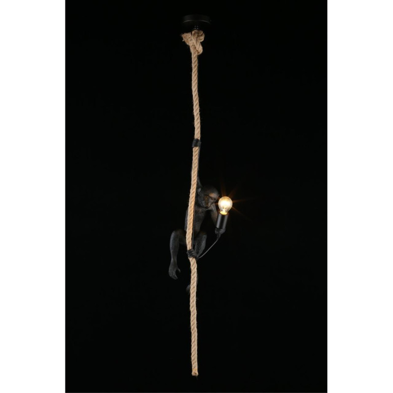 Потолочный детский светильник APLOYT APL.309.16.01