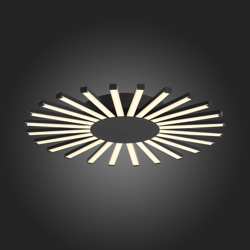 Накладной светильник ST-Luce SL839.412.24