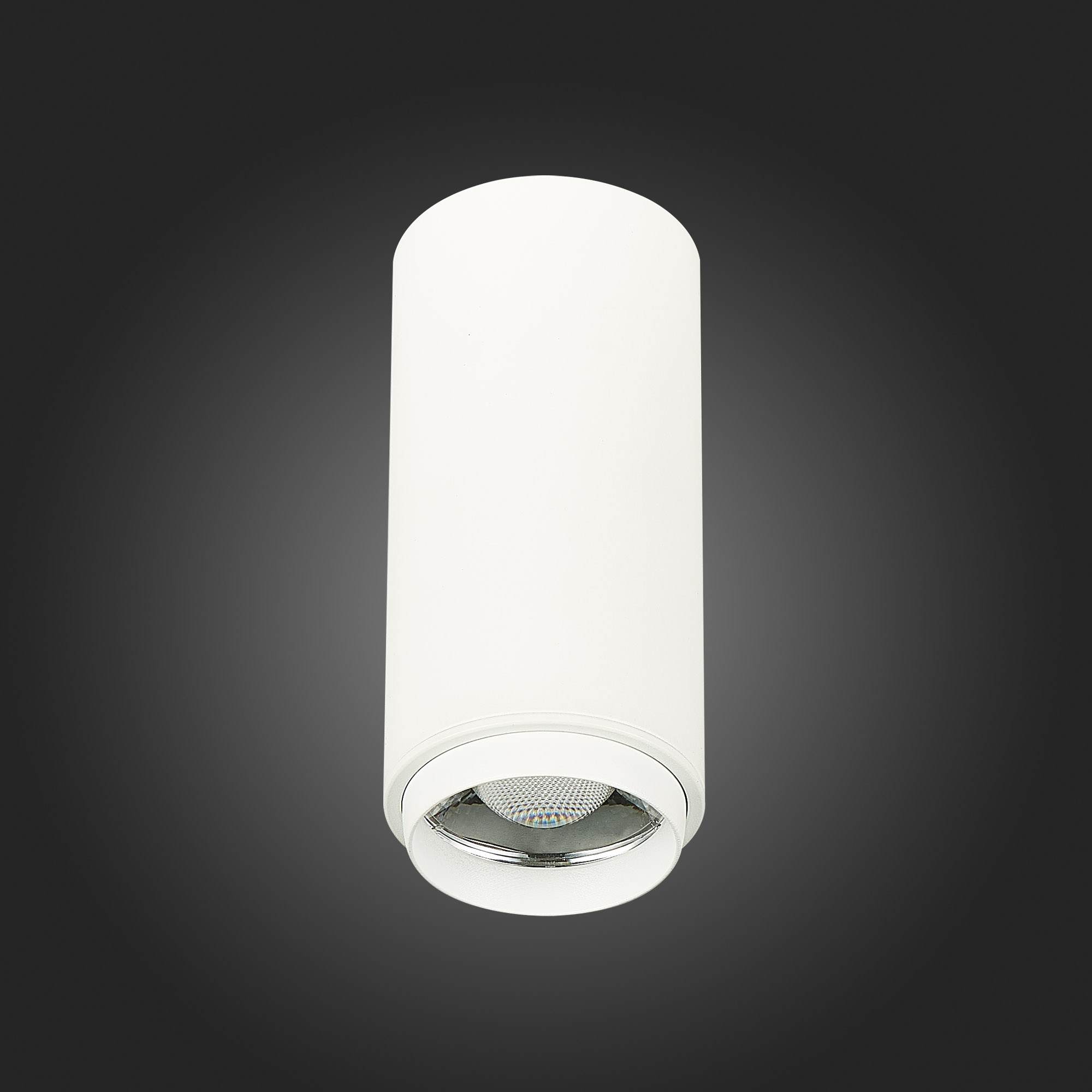 ST600.542.10 Светильник потолочный Zoom Белый LED 1*10W 4000K 1 000Lm Ra>80 15-60° IP20 D59xH130 170 Накладные светильники