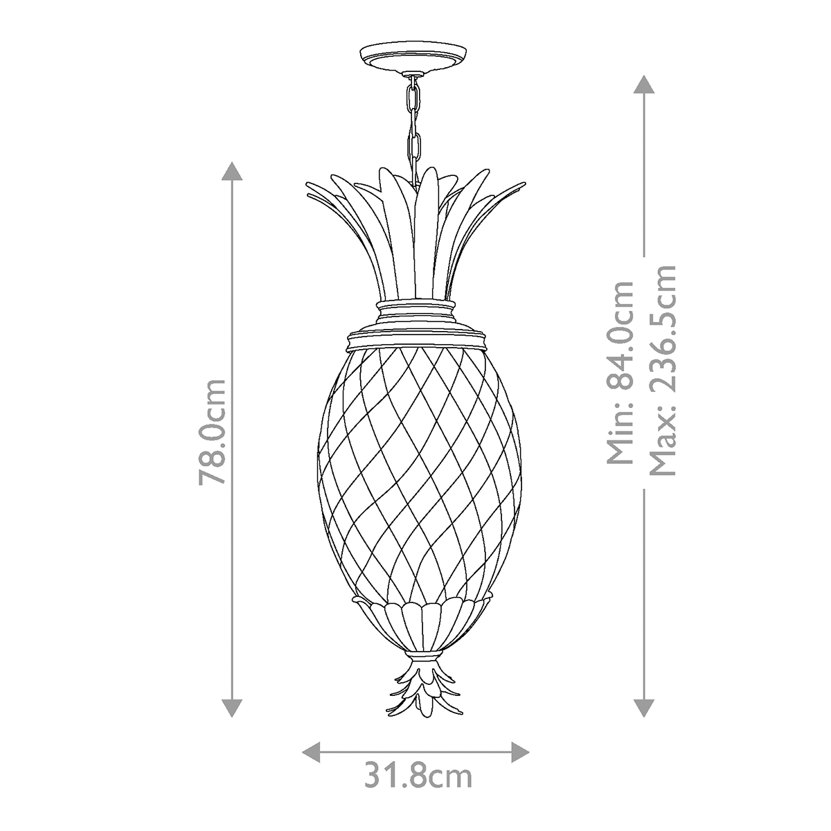 Подвесной светильник Hinkely Lighting, Арт. HK-PLANT4-P-PL