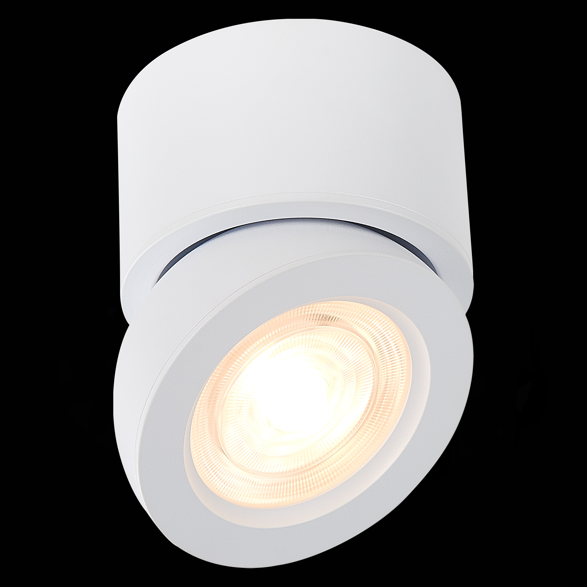 ST654.542.10 Светильник потолочный Белый LED 1*10W 4000K 850Lm Ra>90 38° IP20 D95xH96 180-240V Накладные светильники