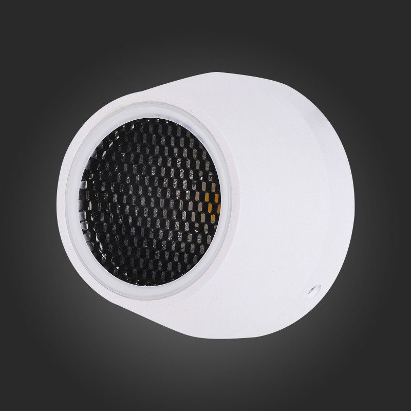 Грунтовый светильник ST-Luce SL097.555.01