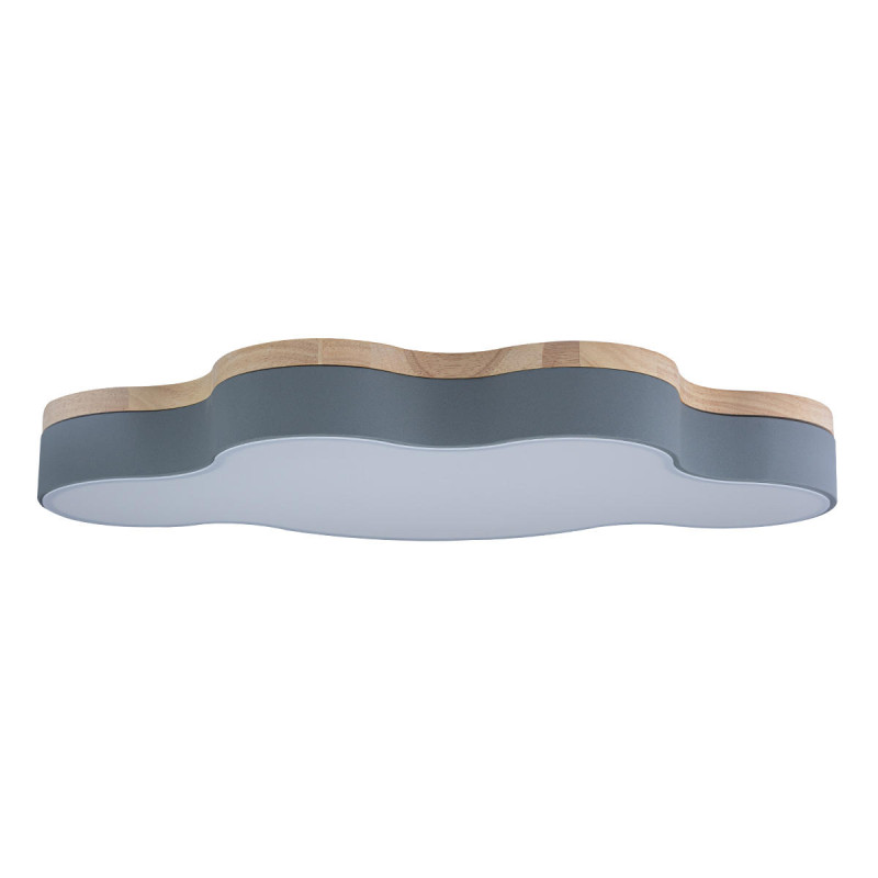 Потолочный детский светильник LOFT IT 10005/36 Grey