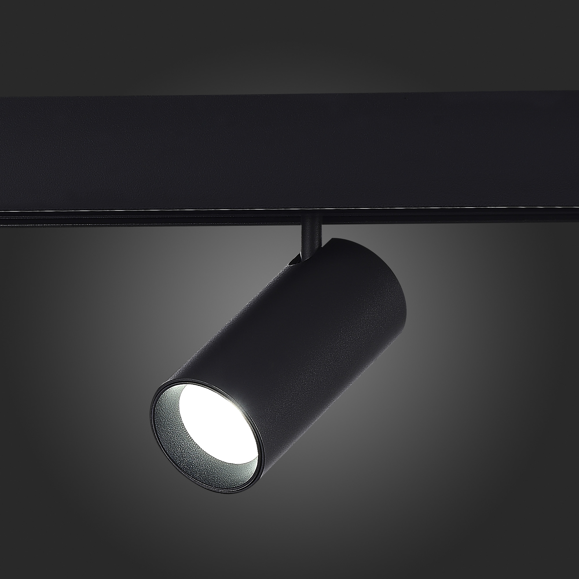 ST375.406.12.1 Магнитный трековый светильник SMART Черный LED 1*12W 2700K-6500K 1 080Lm Ra90 36о IP2 SKYLINE 48