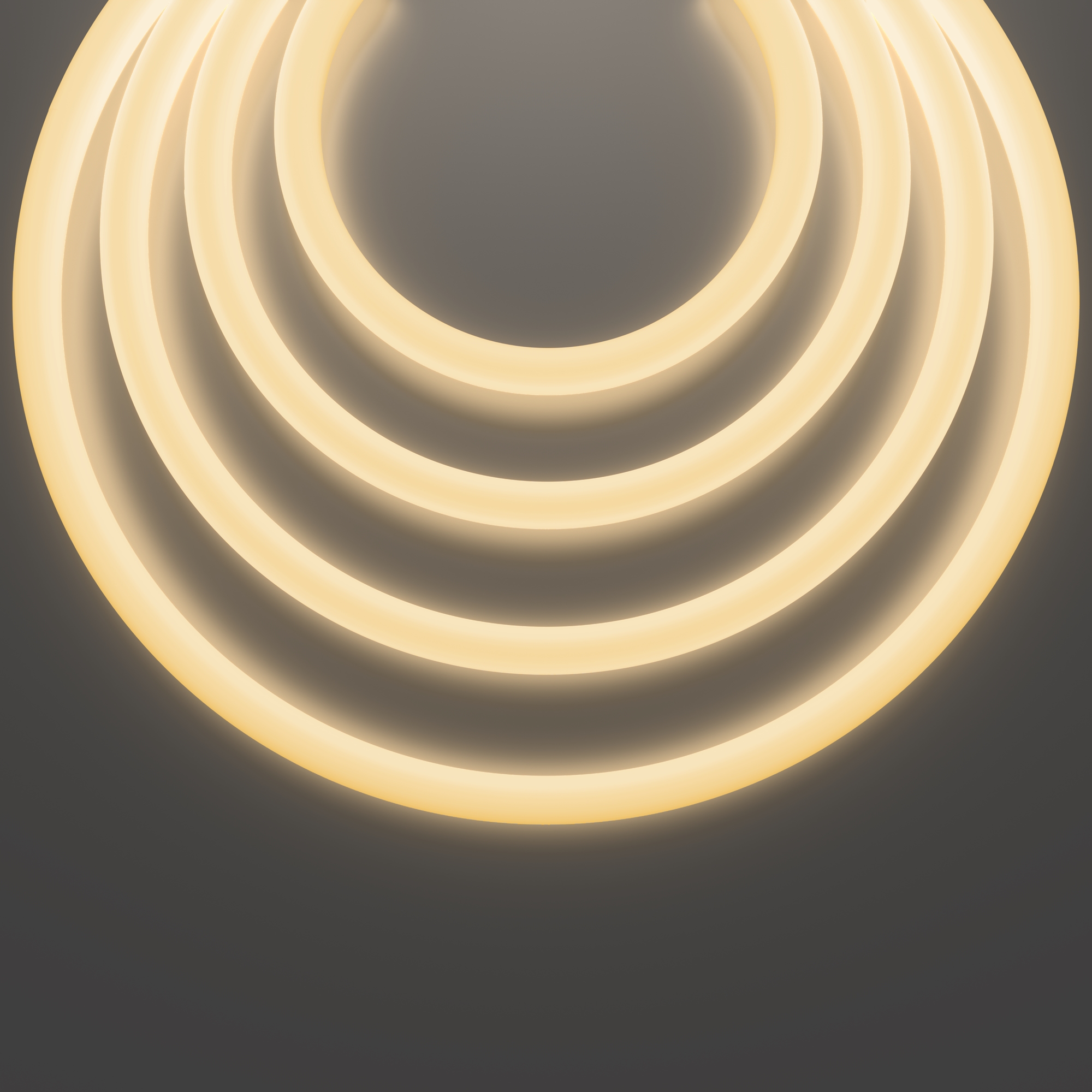 Гибкий неон Led Strip 20306