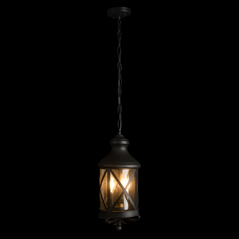 Подвесной уличный светильник LOFT IT 100020P