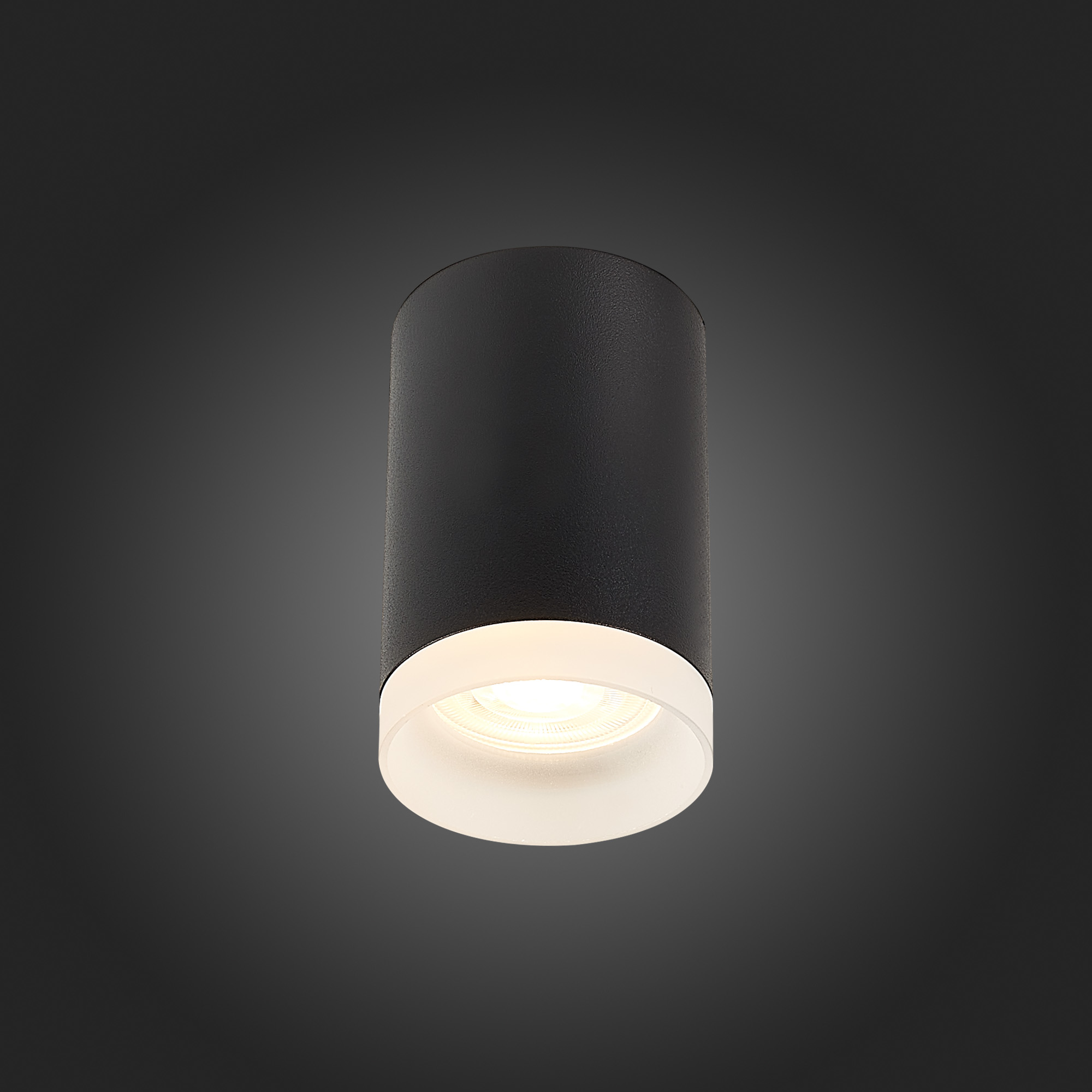 ST100.402.01 Светильник потолочный Черный GU10 1*50W IP20 D64xH99 220V Без ламп Накладные светильники