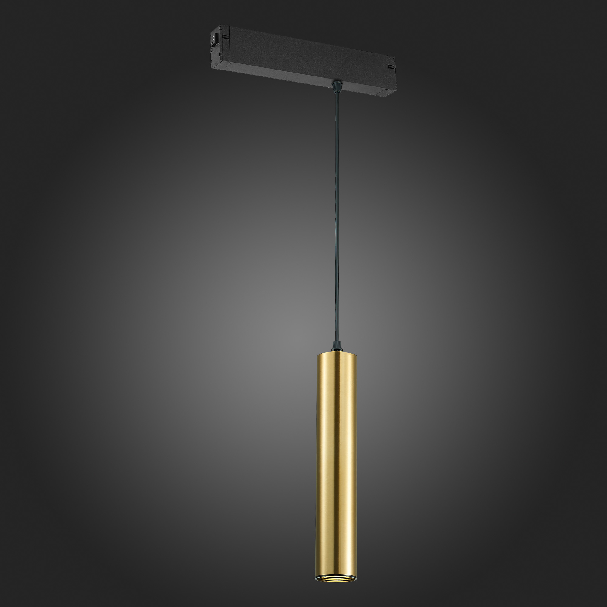 ST507.303.01 Св-к трек. Золотистый GU10 1*50W  IP20 D54xH290 180-240V Без ламп SKYLINE 220