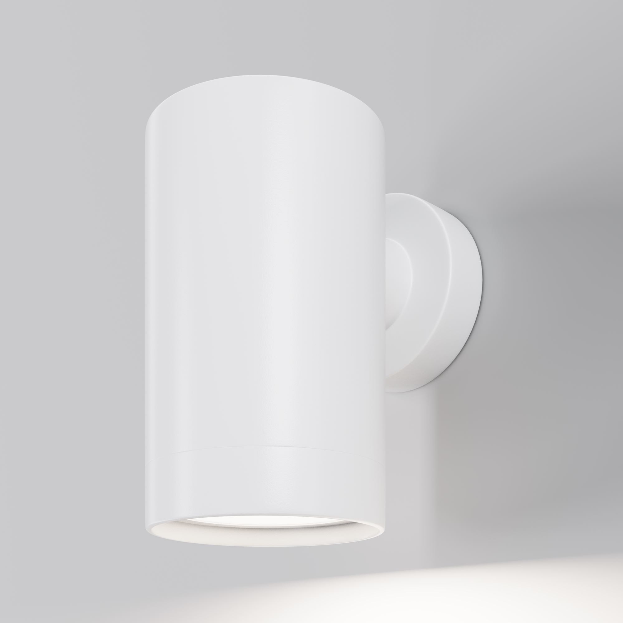 Настенный светильник (бра) Outdoor O493WL-01W