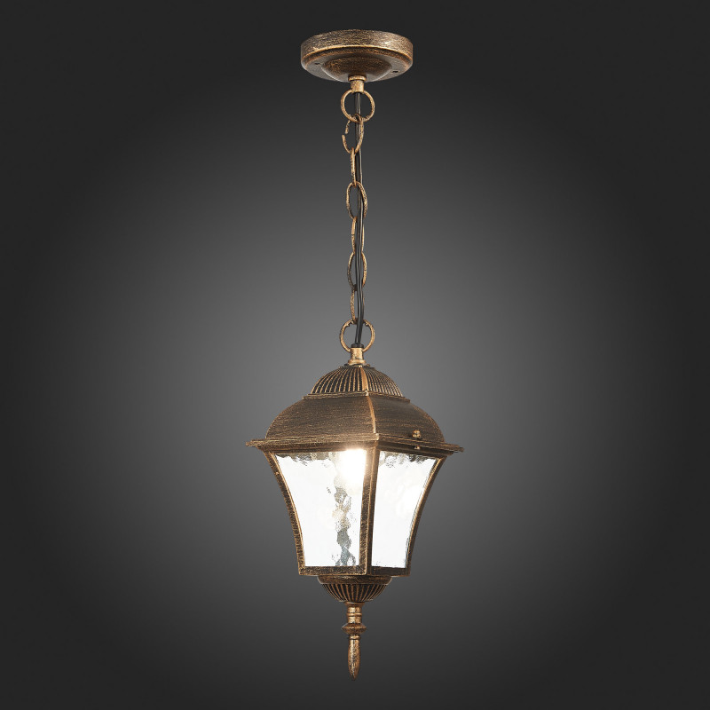 Подвесной уличный светильник ST-Luce SL082.203.01