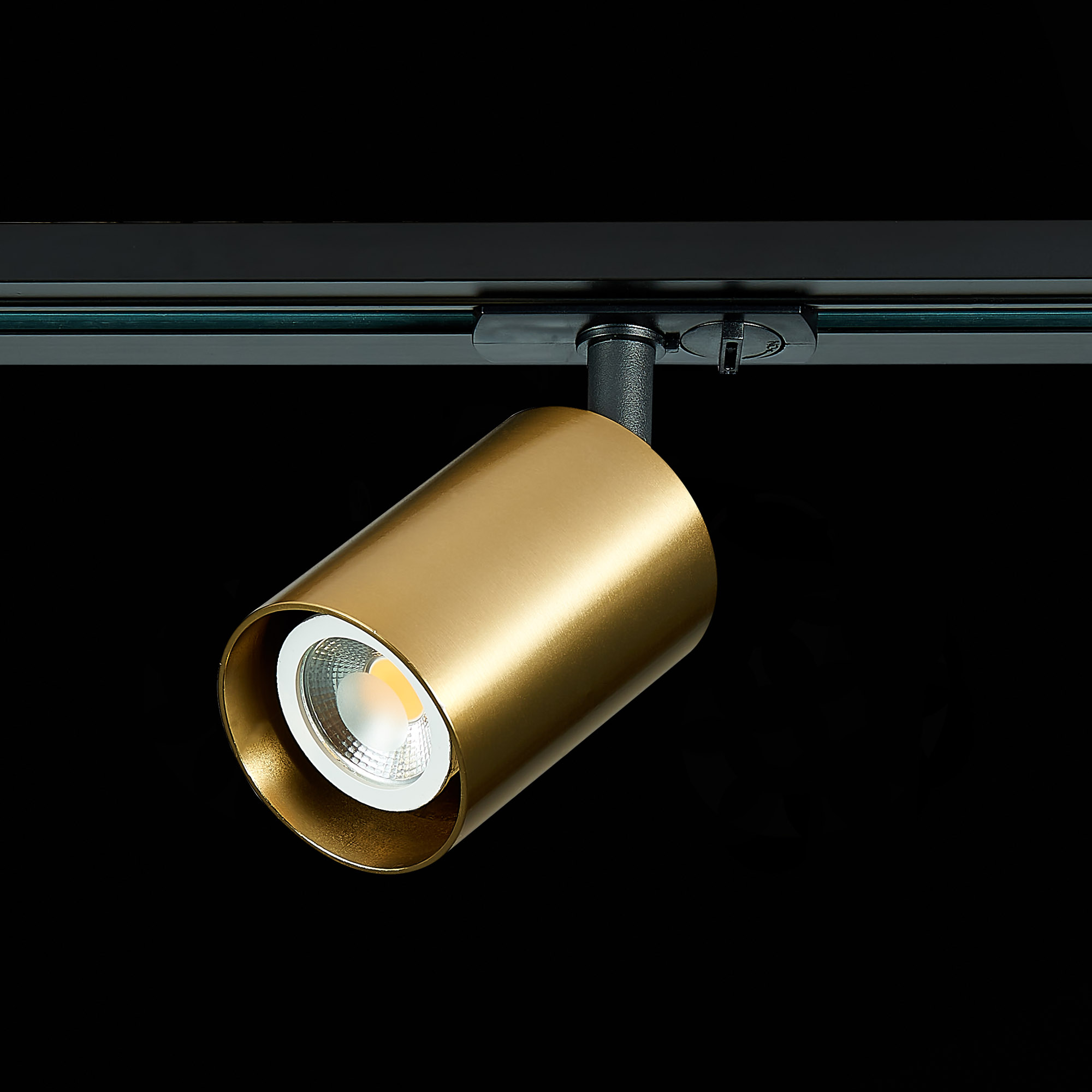 ST302.206.01 Св-к трек. Золотистый GU10 1*50W  IP20 L100xW70xH172 220V Без ламп BASE
