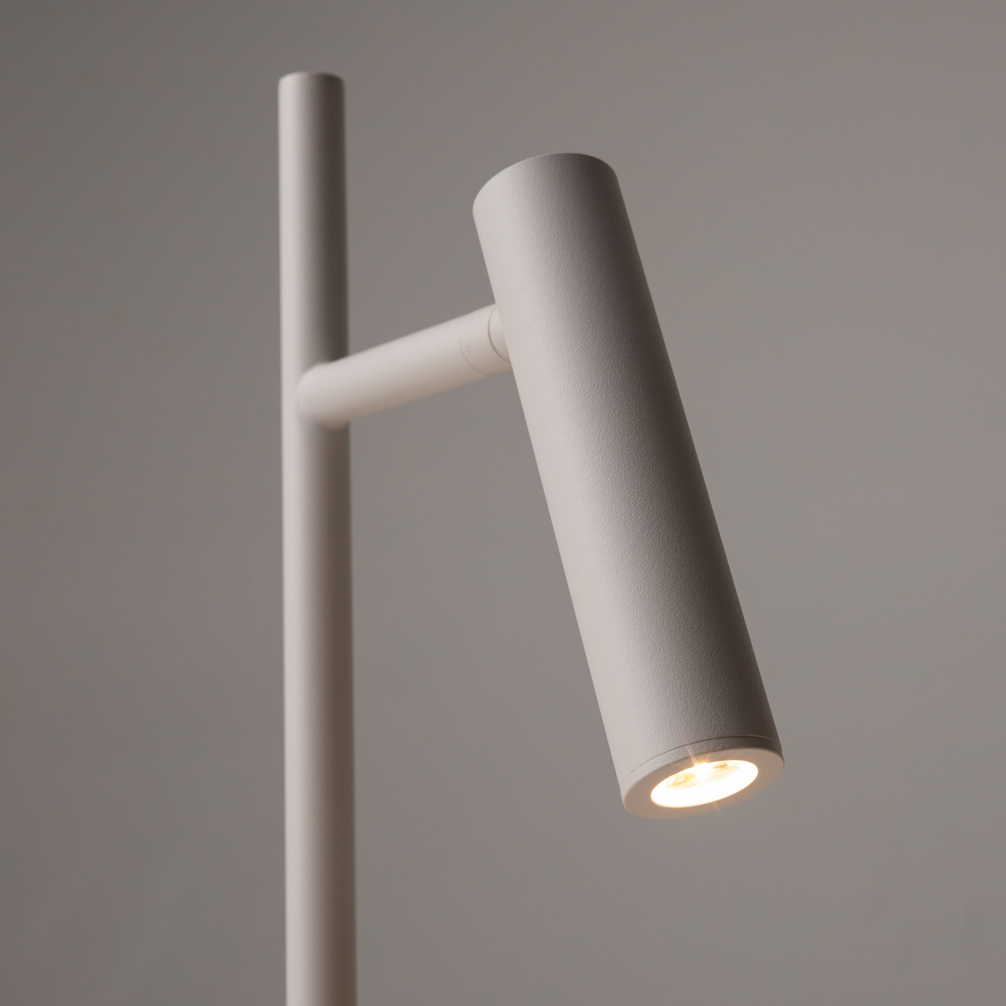 Настольный светильник Maytoni Z010TL-L8W3K